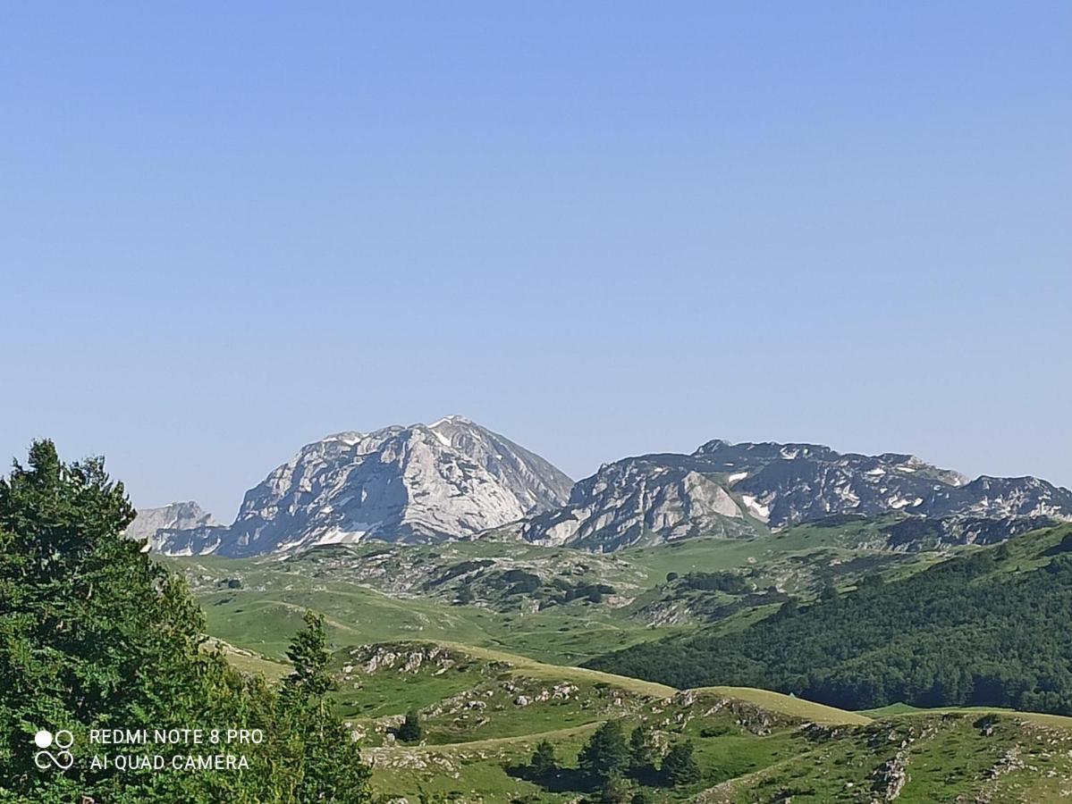 ホテル Katun Ljeljenak プルジネ エクステリア 写真